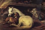 Sir Edwin Landseer The Arab Tent oil painting